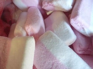 Lard rose et blanc x100grs
