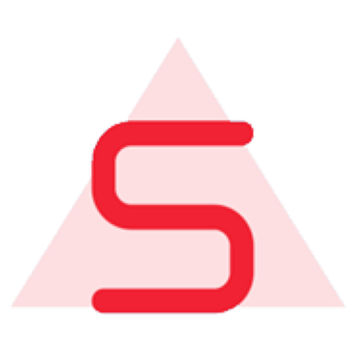 Logo Self-S-Team