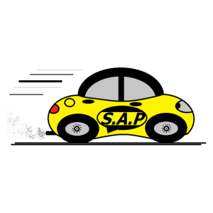 SAP Service Auto aux Particuliers